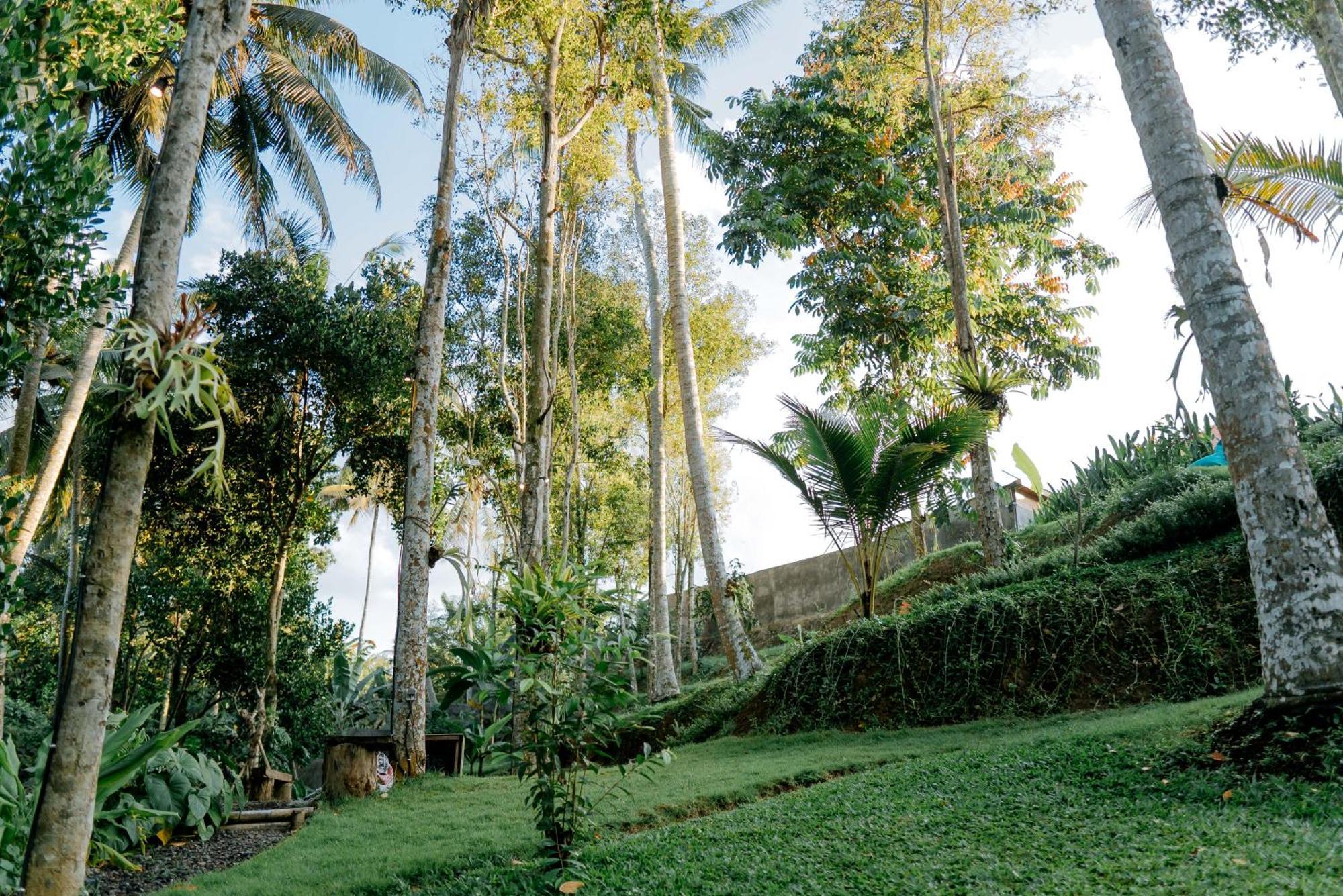 מלון Payangan Bali Made Escape מראה חיצוני תמונה